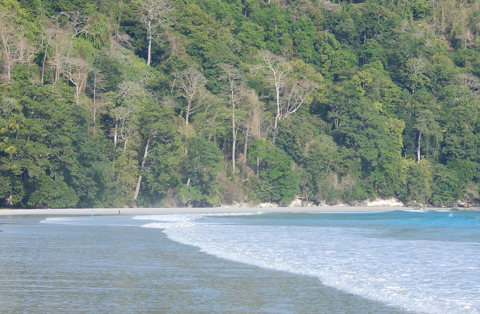 Andaman beach