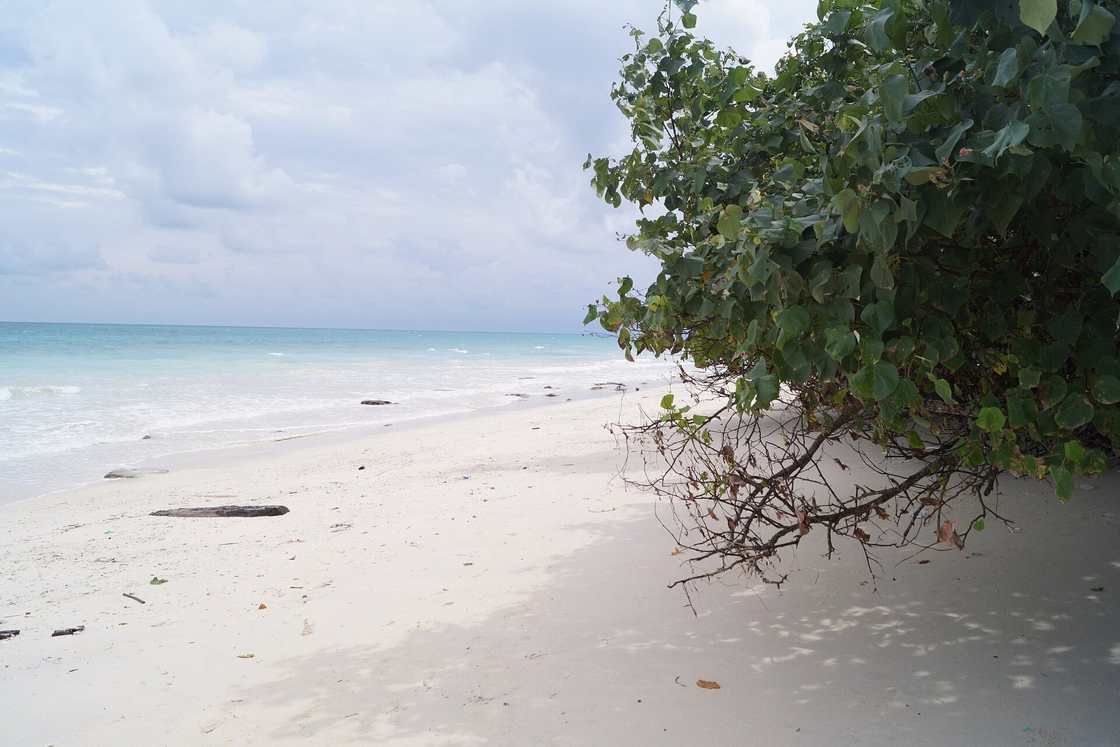 Andaman Delight