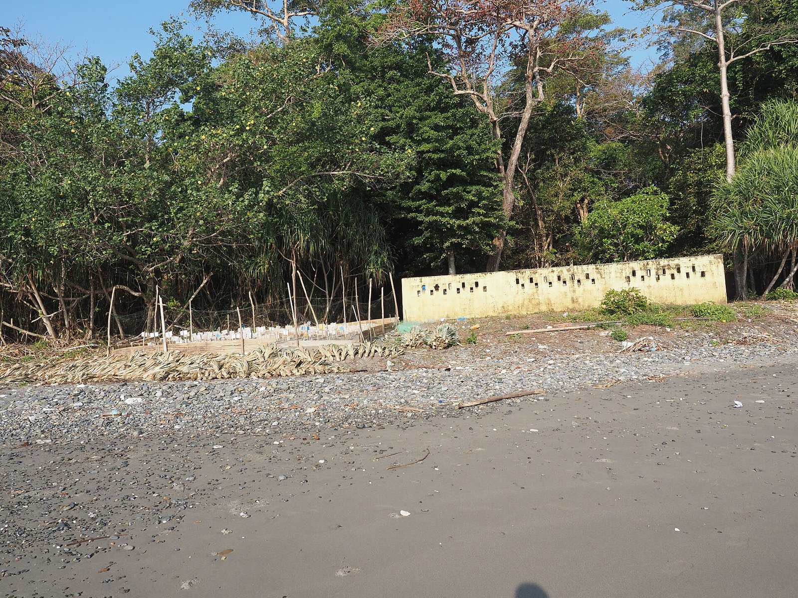 Cab from Port Blair to Diglipur via Baratang